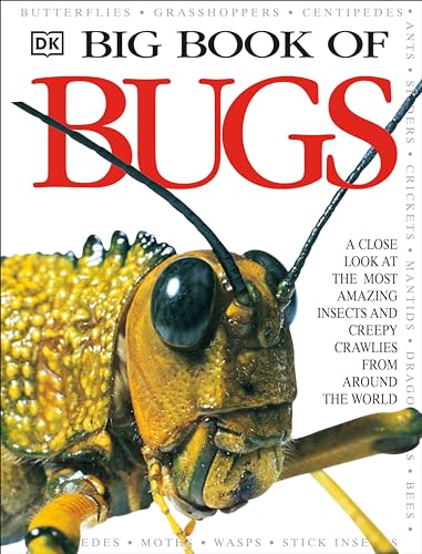 Big Book of Bugs (DK Big Books)